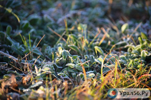 Заморозки до -3°С ожидаются ночью и утром в Оренбургской области