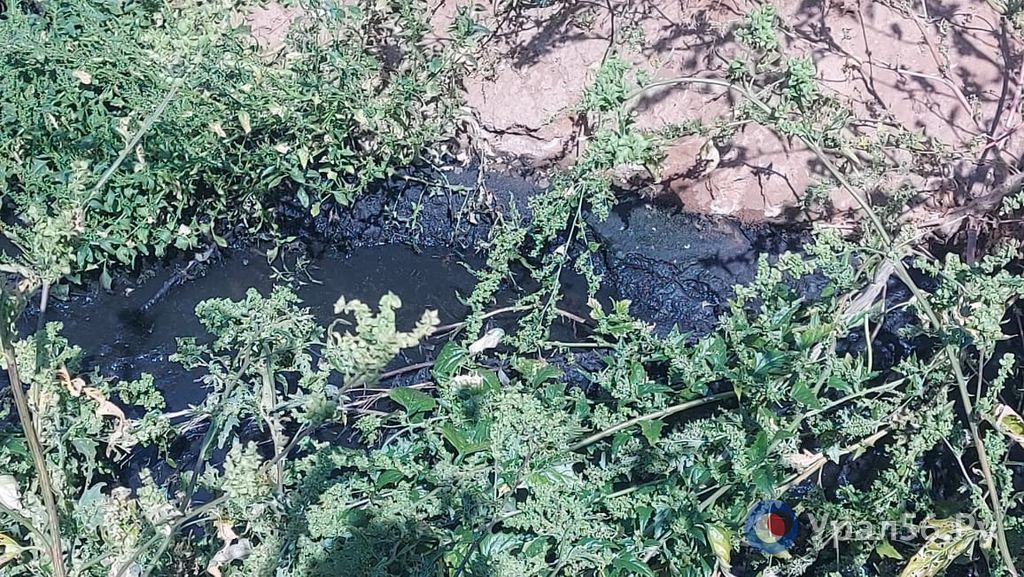 Выездная лаборатория взяла пробы почвы и воды под Домбаровским на предмет загрязнения их сточными водами