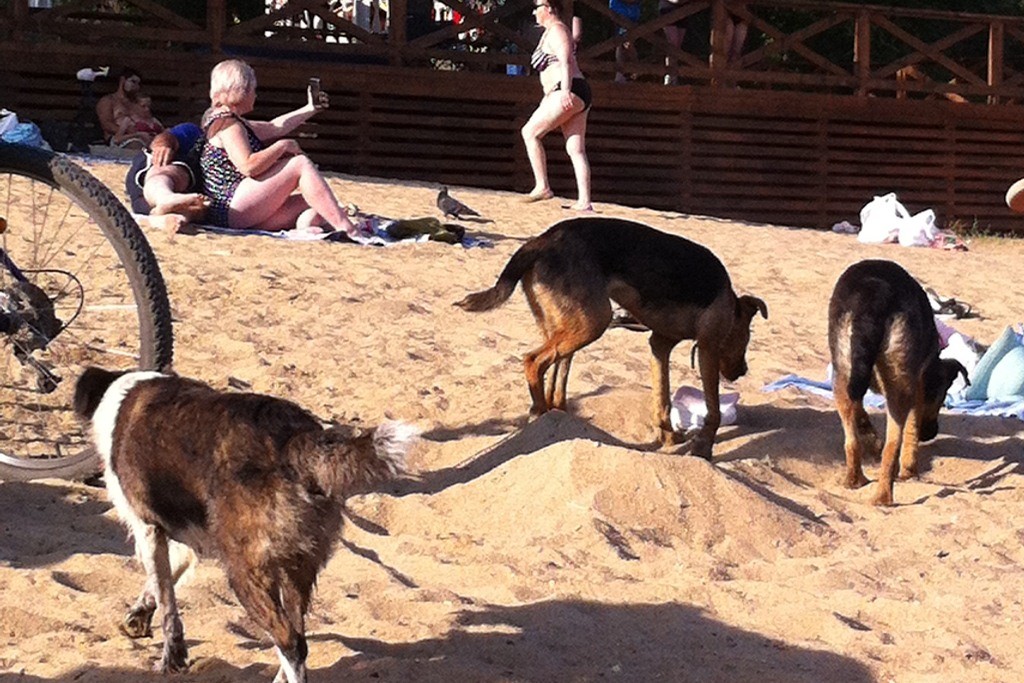 ﻿Фото очевидцев