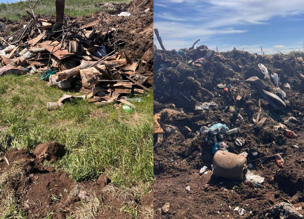 Несанкционированная свалка в Новосергиевском районе. Фото: Россельхознадзор по Оренбургской области   ﻿