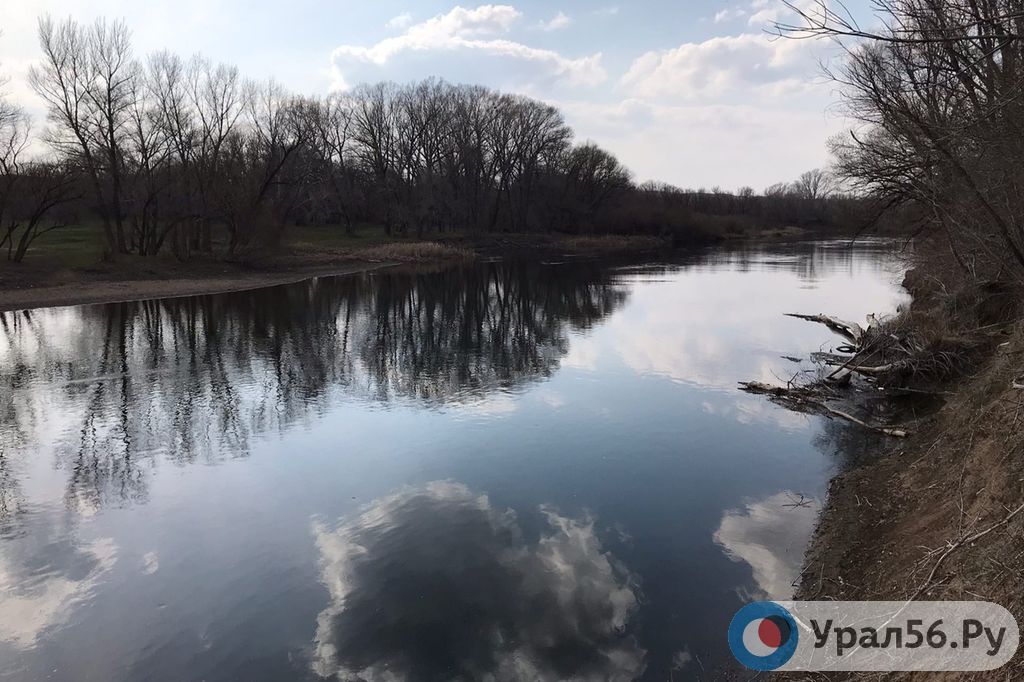 Река Урал Фото В Оренбургской Области