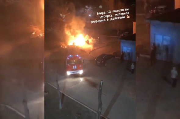 В Оренбурге подожгли мусор вместе с контейнером (видео)