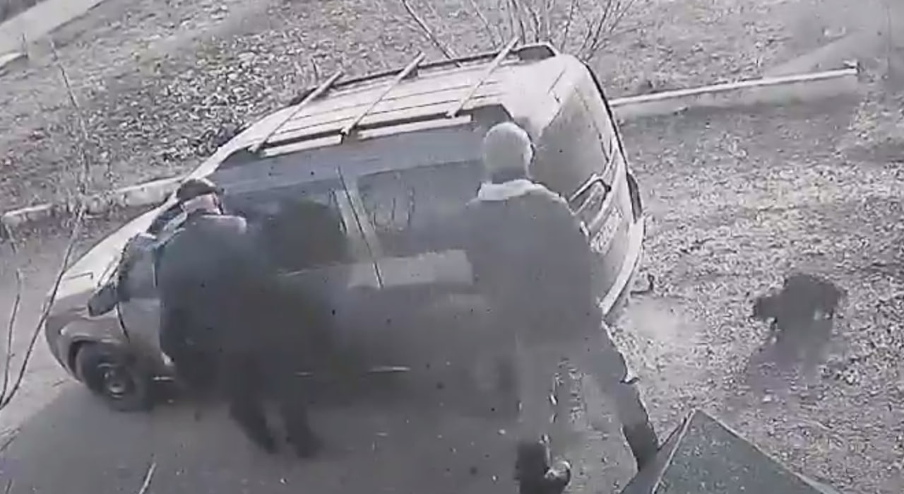 Стоп-кадр видеозаписи, на которой видно, как мужчины выкидывают животных