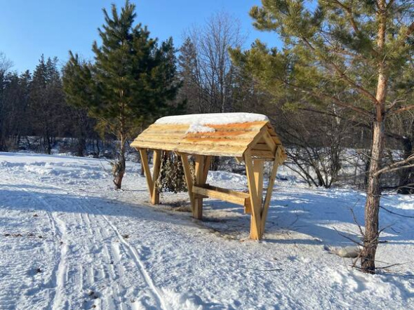 70 тонн ячменя за зиму: какие животные приходят в «столовые» Бузулукского бора чаще всего? 