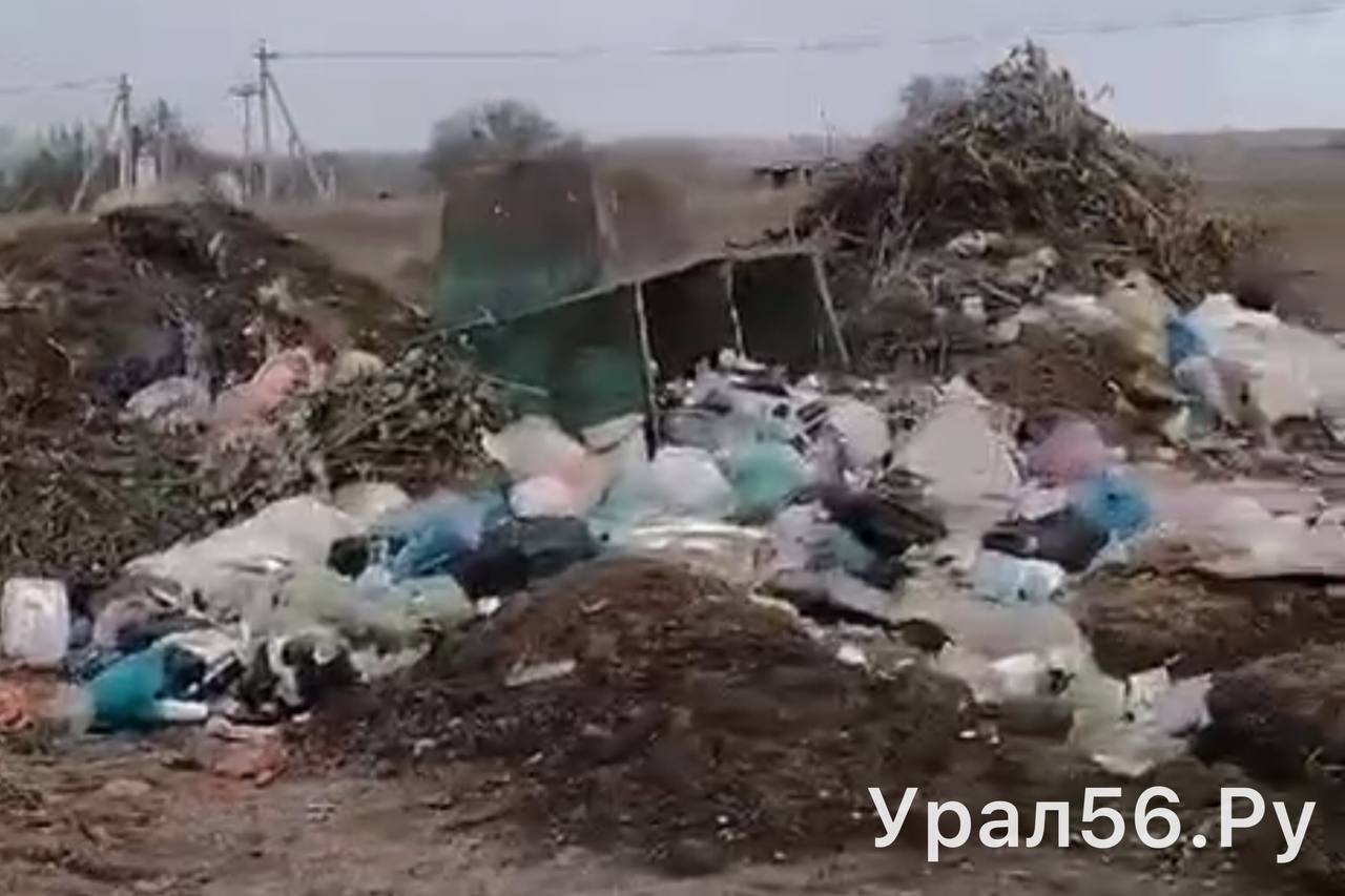 Мусор в Малом Кумачке