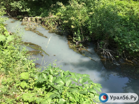 В реке Елшанка Орска выявили превышение ПДК аммония, фосфатов, нитритов и сульфатов