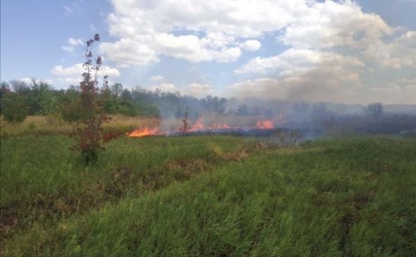 В Ростоши-3 СНТ «Калина Красная» Оренбурга произошло возгорание сухой травы (видео)