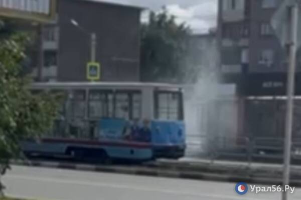 На месте происшествия. Стоп-кадр из видео