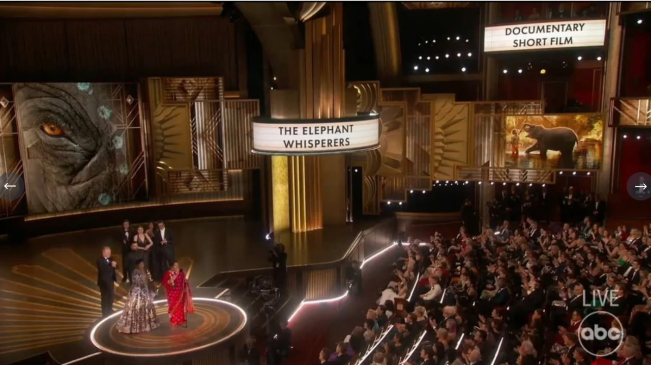Скриншот трансляции премии. Фото: ABC