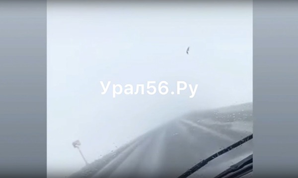 Стоп-кадр из видео