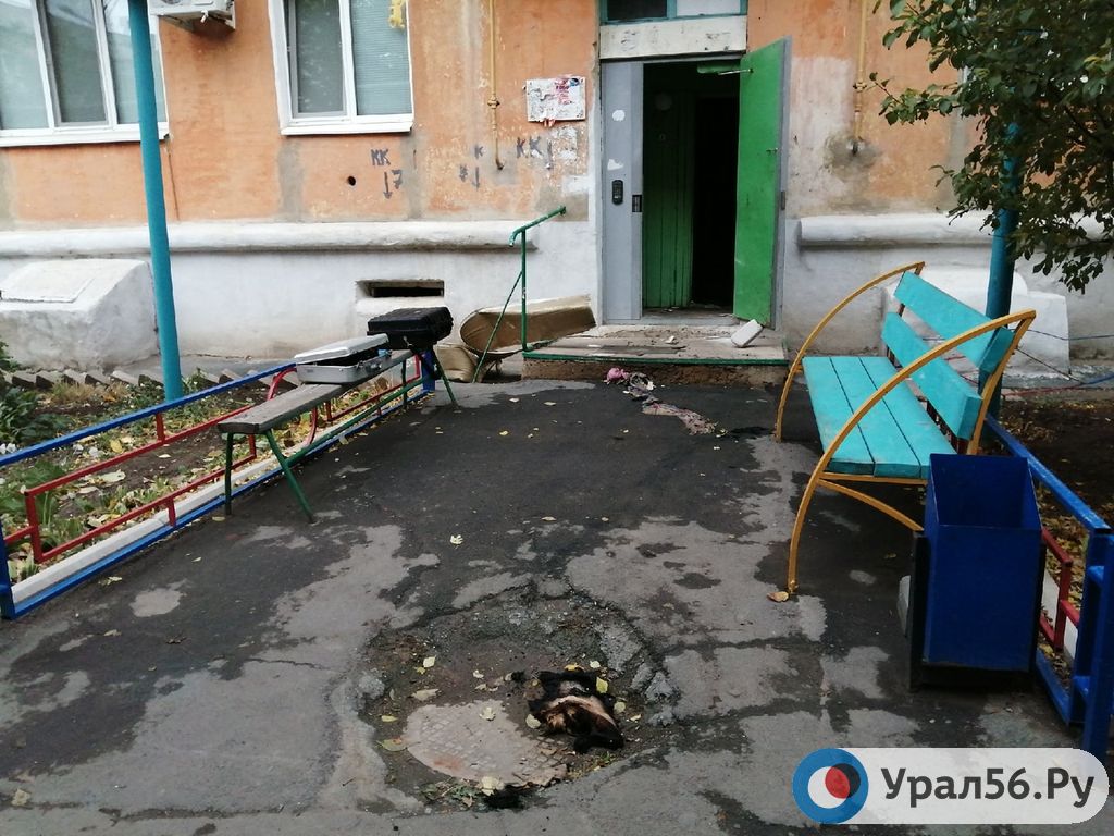Тройное убийство девушек в Гае: допрошено более 100 свидетелей, назначено 14 экспертиз, убийца не найден