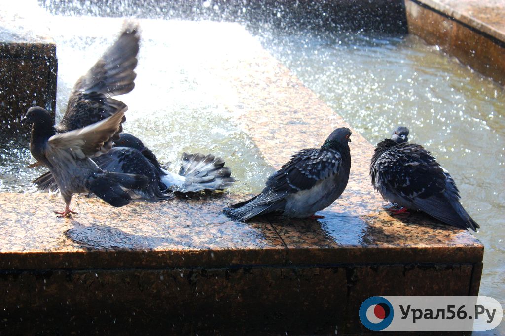Утро в Орске в одной фотографии: солнце жарит по-летнему! 