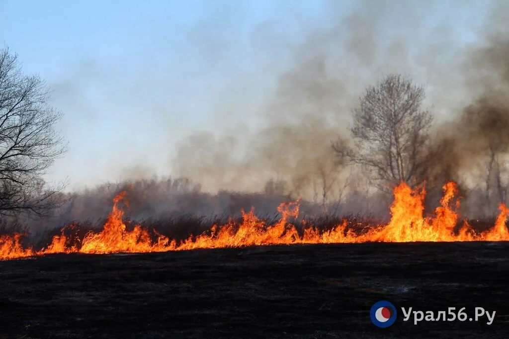 Пожар в Оренбургской области. Фото из архива