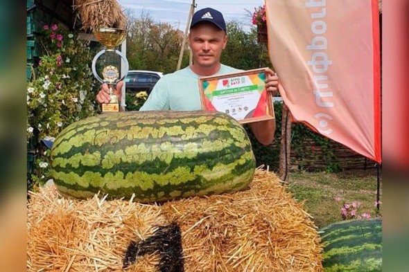 Самый большой арбуз в России в 2020 году вырастил фермер из Соль-Илецка