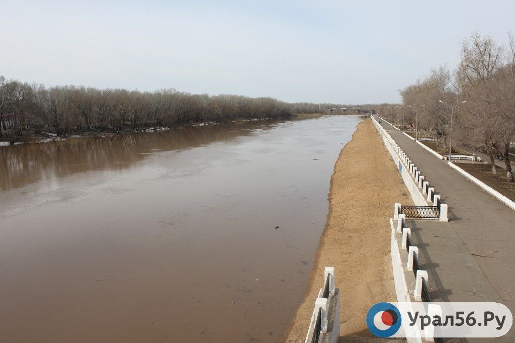 Уровень реки Урал в Оренбурге за сутки вырос почти на метр