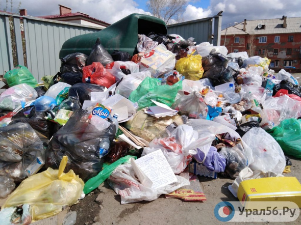 Мусорный коллапс в Бузулуке: Жителям частных домов советуют купить мусорные баки