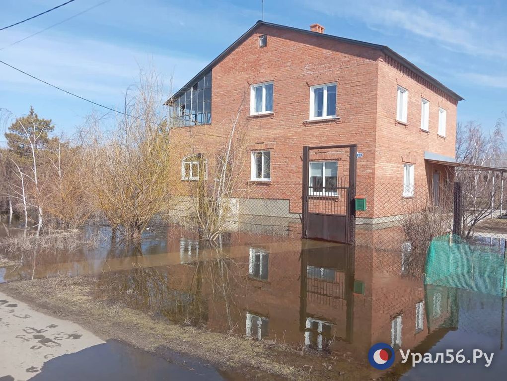В Малом Кумачке. 5.04.2024