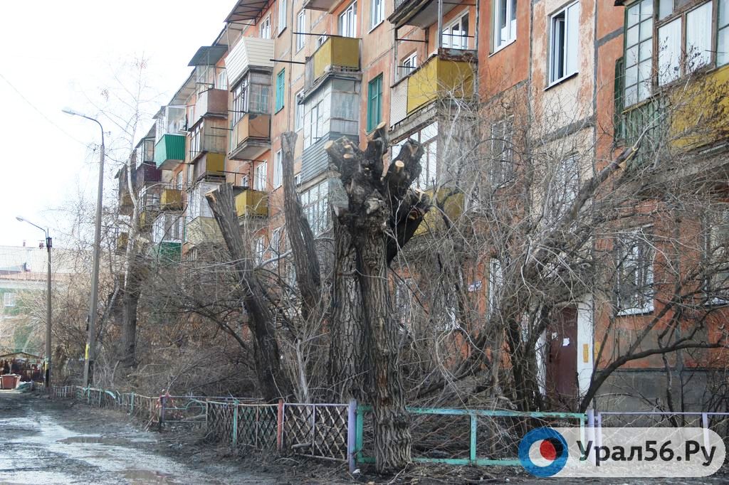 Обрезка деревьев в Орске (фото из архива)