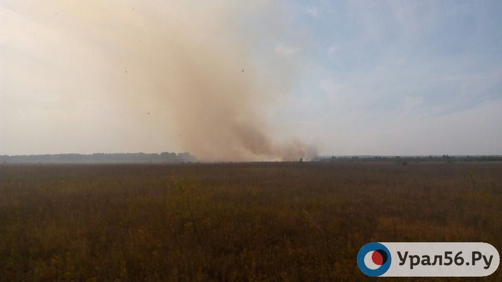 В пригороде Оренбурга горят поля