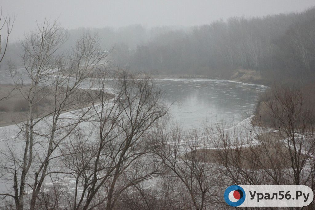 В Оренбурге река Урал покрылась тонкой коркой льда