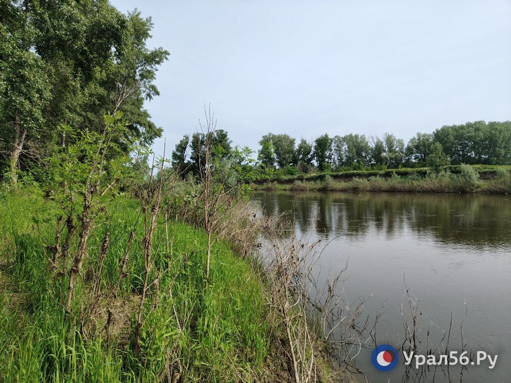 Река Урал в Оренбургской области, фото из архива