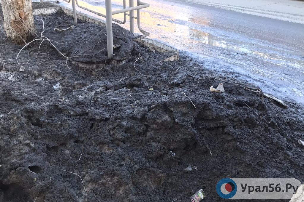Газоны вдоль дороги по проспекту Ленина в районе школы № 8. Орск, 18.03.2020