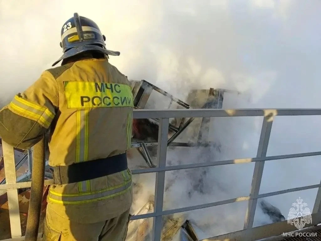 Тушение пожара на элеваторе в Бузулуке, фото: МЧС России по Оренбургской области