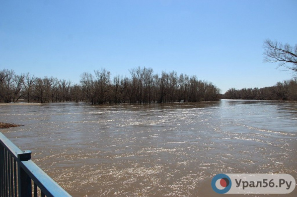 1 апреля из-за паводка в Илекском районе закроют мост через Урал 
