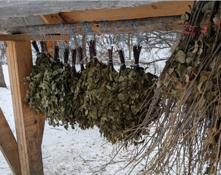 Подкормочные площадки для диких животных. Фото: Бузулукский бор