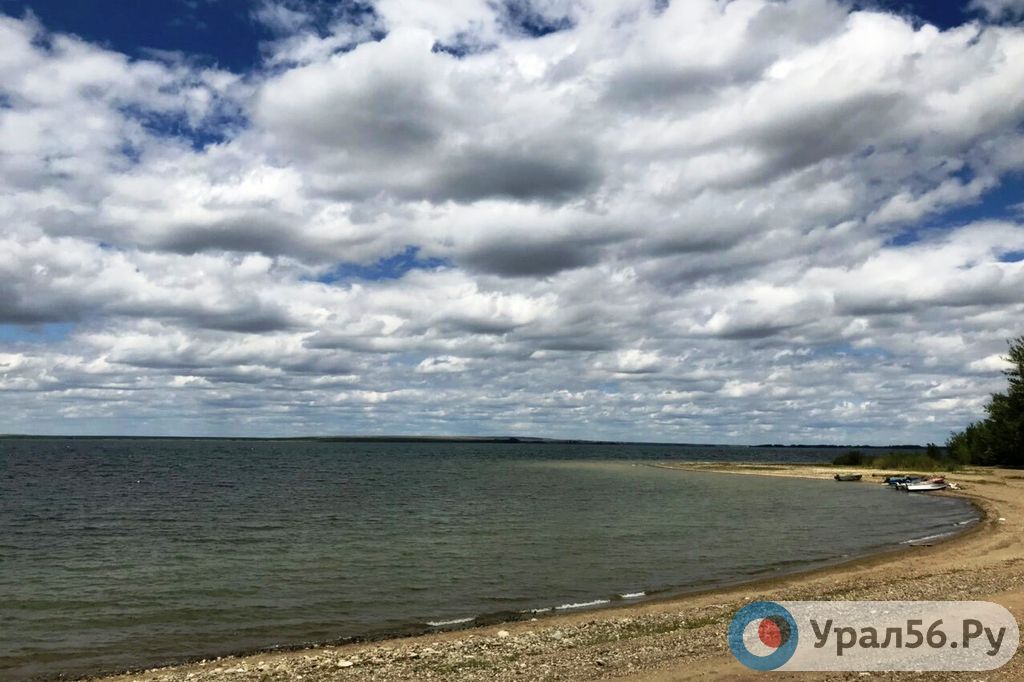 Берег Ириклинского водохранилища в поселке Энергетик, 17.06.2019