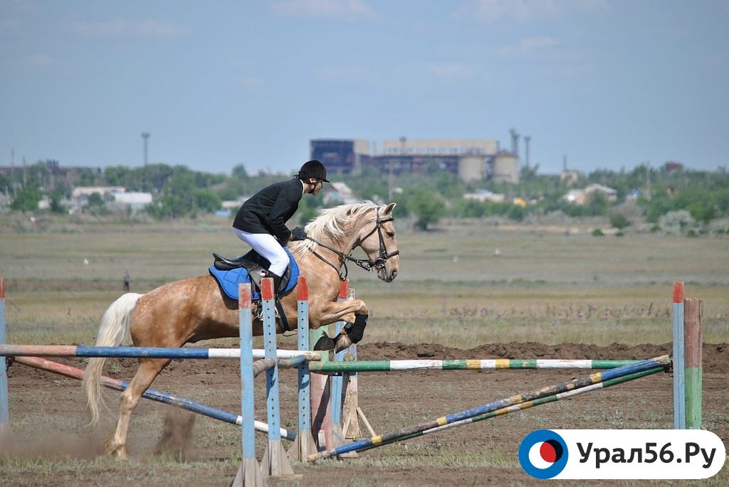 Показательные выступления на ипподроме «Стрижи». Орск, 31.05.2015