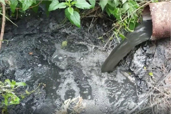 ОНФ: Сточные воды в Домбаровском районе сбрасываются на поля и в воду