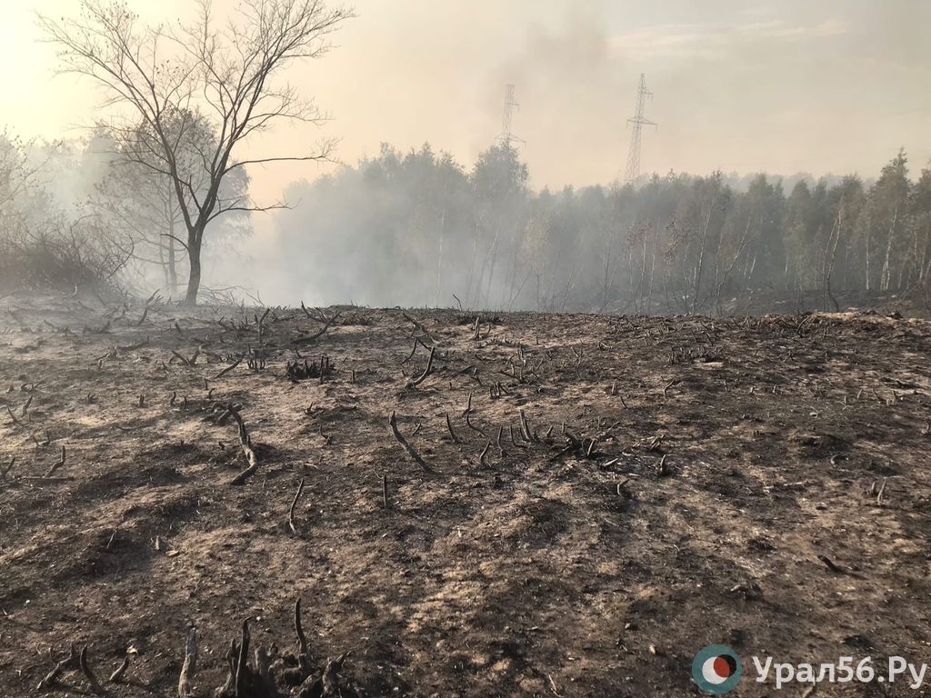 Тушение природного пожара в Кувандыкском городском округе продолжается