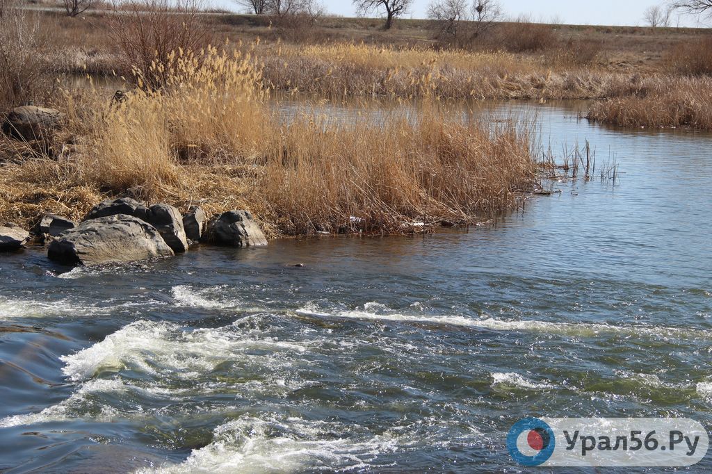 Какой уровень урала в городе оренбурге