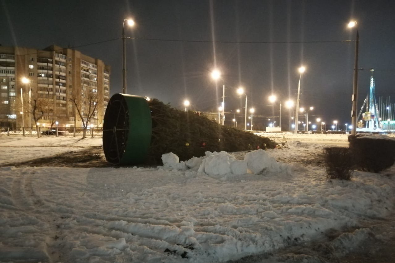 Упавшая из-за сильного ветра елка в Оренбурге