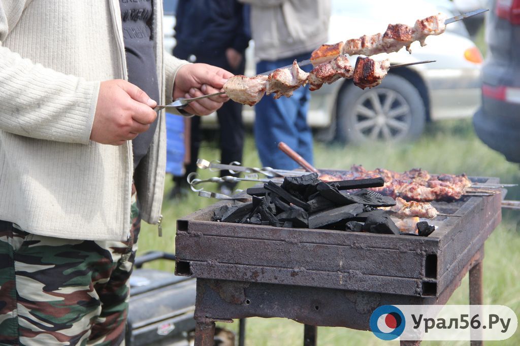 Шашлык признали полезным блюдом для новогоднего стола. Фото из архива