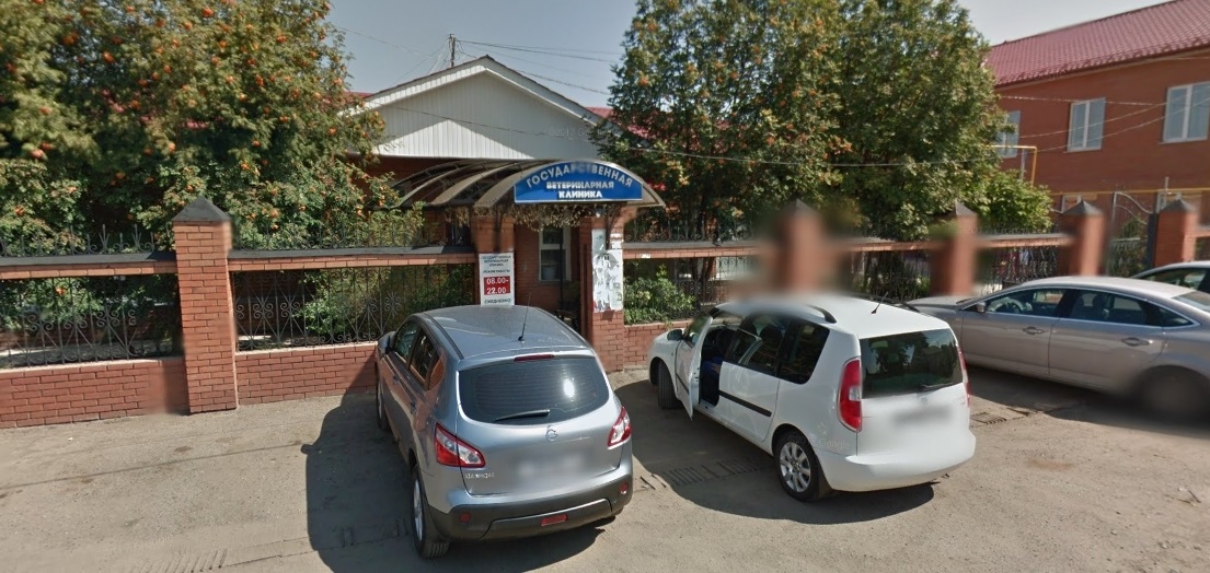 Управлению ветеринарии требуется автомобиль со скоростью не менее 200 км/ч