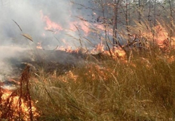 Из-за пожара в заповеднике «Шайтан-Тау» в Кувандыкском районе отменяется бронь домиков и работа экологических троп