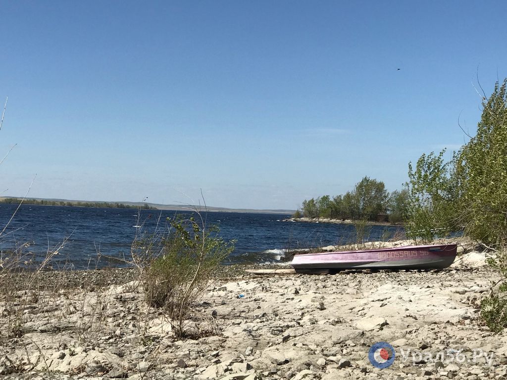 Берег Ириклинского водохранилища, май 2025 года