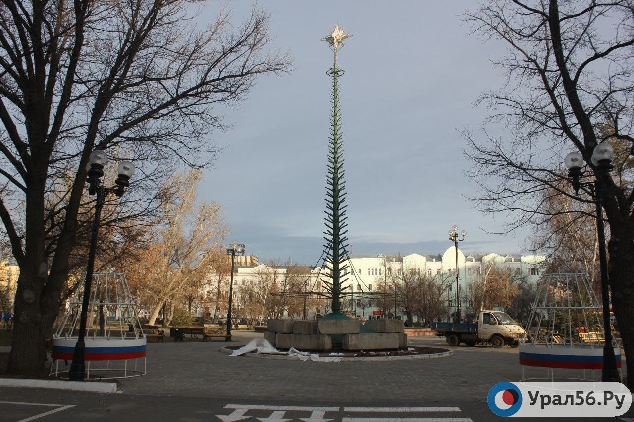 В Оренбурге начали устанавливать главную городскую новогоднюю елку