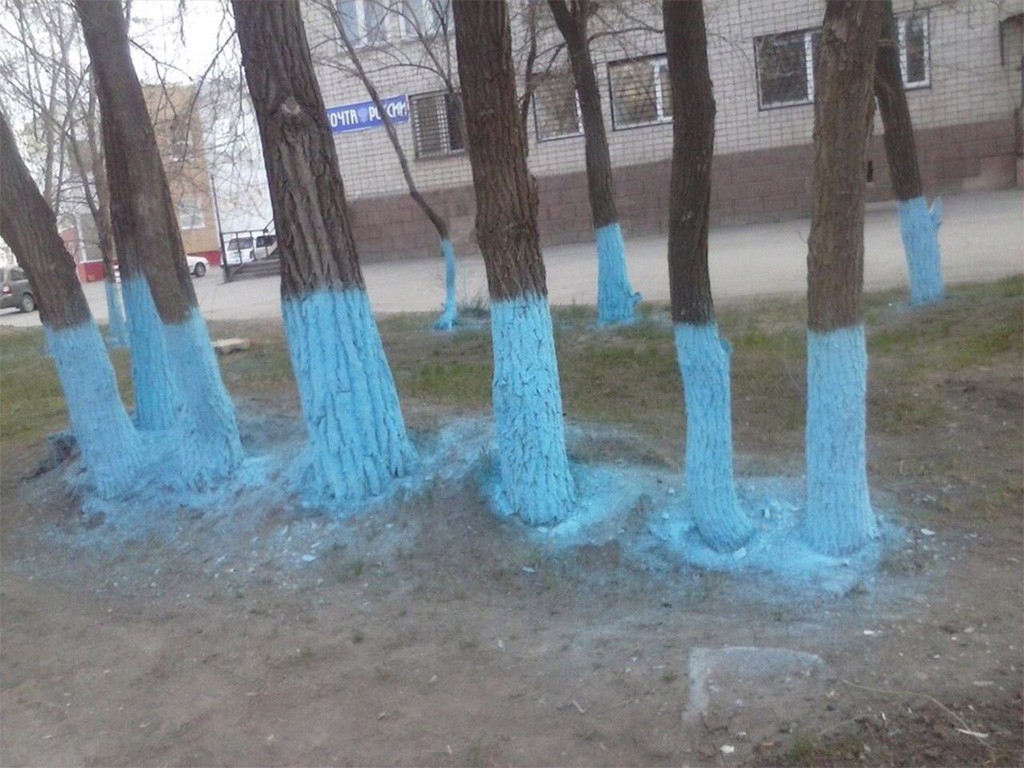 Деревья во дворе на ул. Комарова