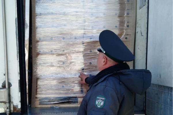 На месте инцидента. Источник: пресс-служба Россельхознадзора