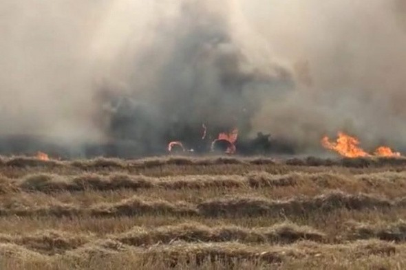 В Оренбурге районе Нежинки загорелись комбайн и поле (видео)