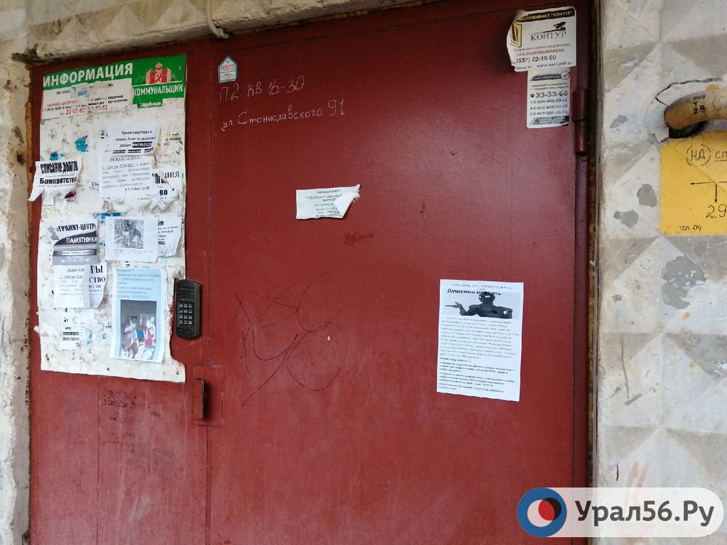 В Орске домашняя собака напала на ребенка, а на следующий день на подъездах дома для ее хозяйки оставили сообщения 