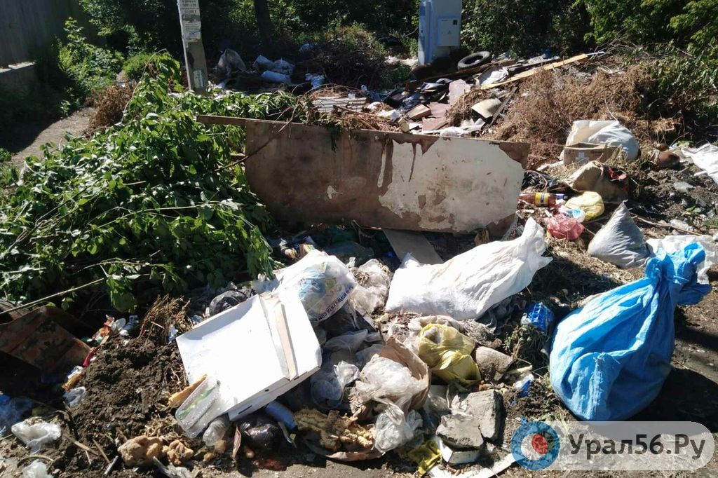 Свалка Мусора, фото из архива