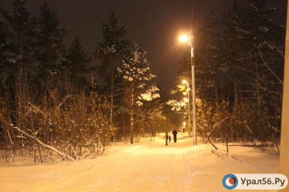 В Оренбургской области планируют создать две лыжероллерные трассы