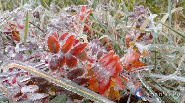 В ближайшую неделю в Оренбургской области прогнозируются осадки и похолодание