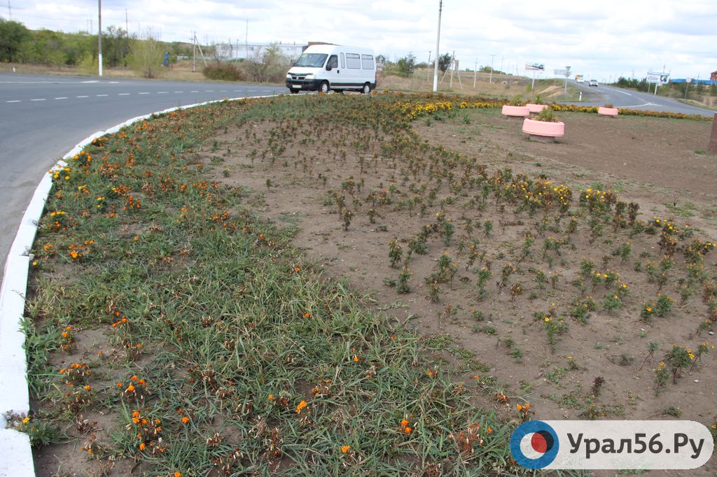 Клумба на въезде в Орск, 2019 год