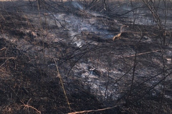В Новоорском районе серьезный пожар, дым может дойти до Орска