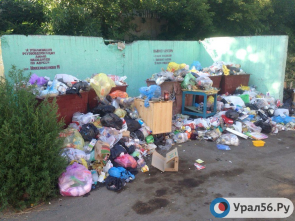 В ООО «Природа» сказали, что мэрия Орска бездействует и не вступает в диалог по поводу вывоза мусора 